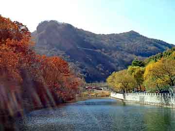 新澳天天开奖资料大全旅游团，青龙仙境